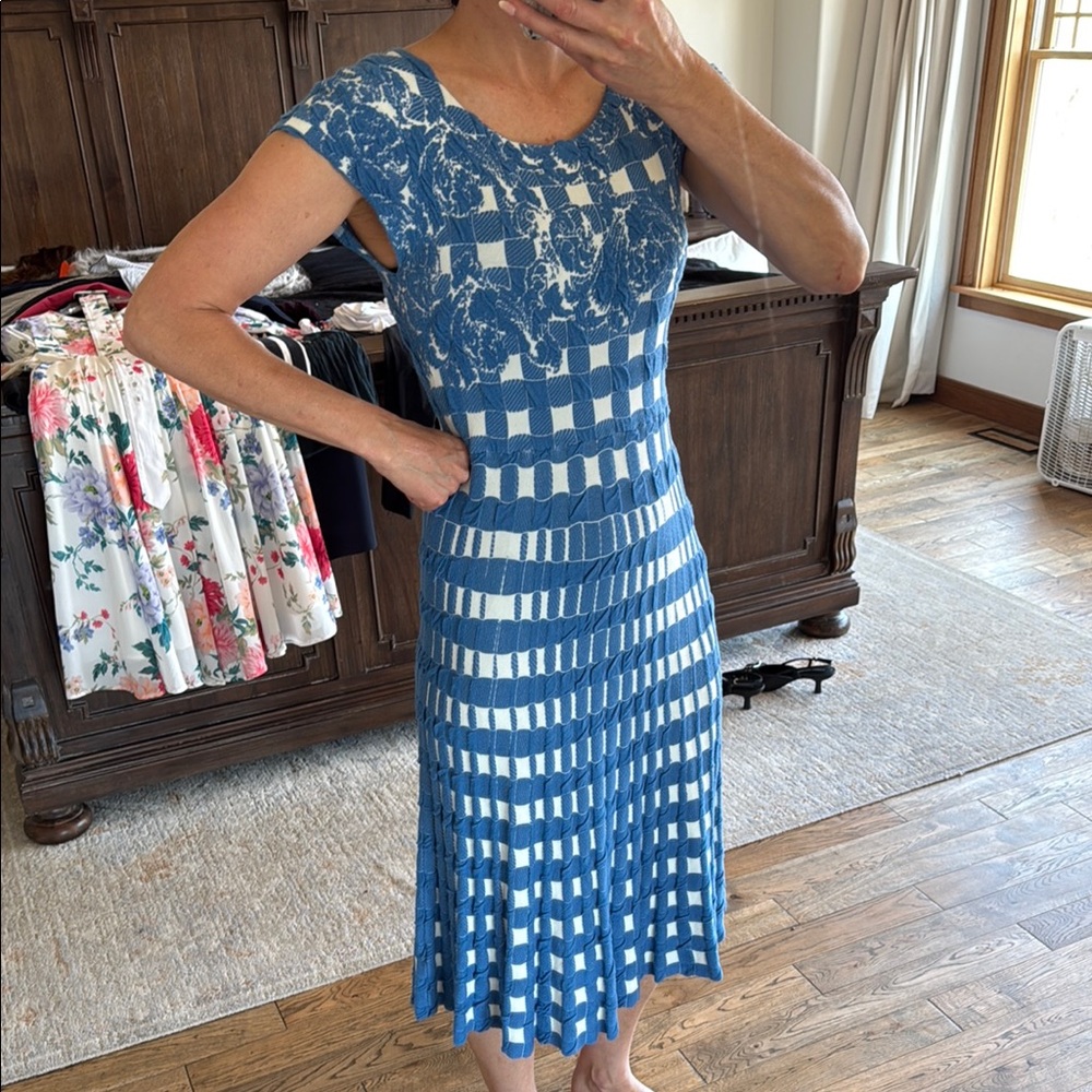 Elegant Blue and White Checkered Dress
